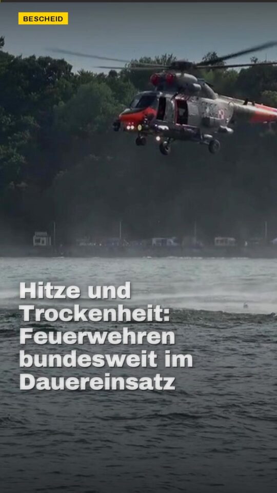 Erstes Bild der Ausgabe: Hitze und Trockenheit: Feuerwehren bundesweit im Dauereinsatz