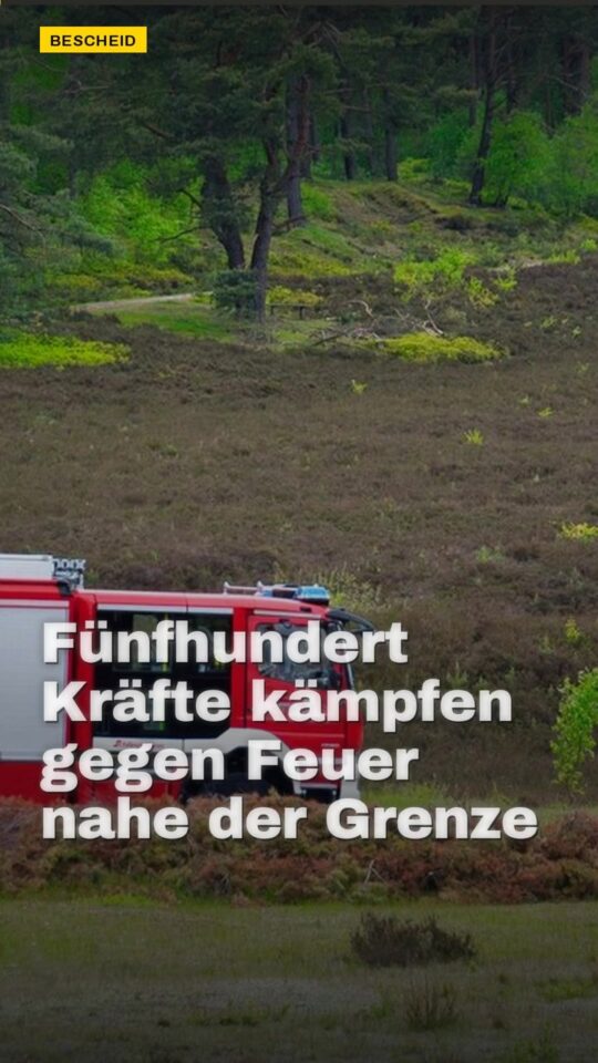 Erstes Bild der Ausgabe: Fünfhundert Kräfte kämpfen gegen Feuer nahe der Grenze