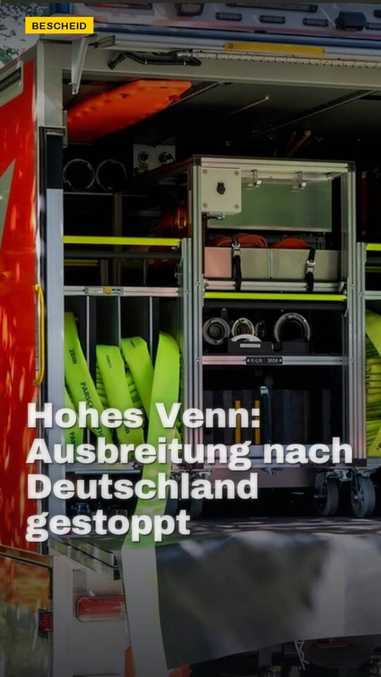 Erstes Bild der Ausgabe: Hohes Venn: Ausbreitung nach Deutschland gestoppt