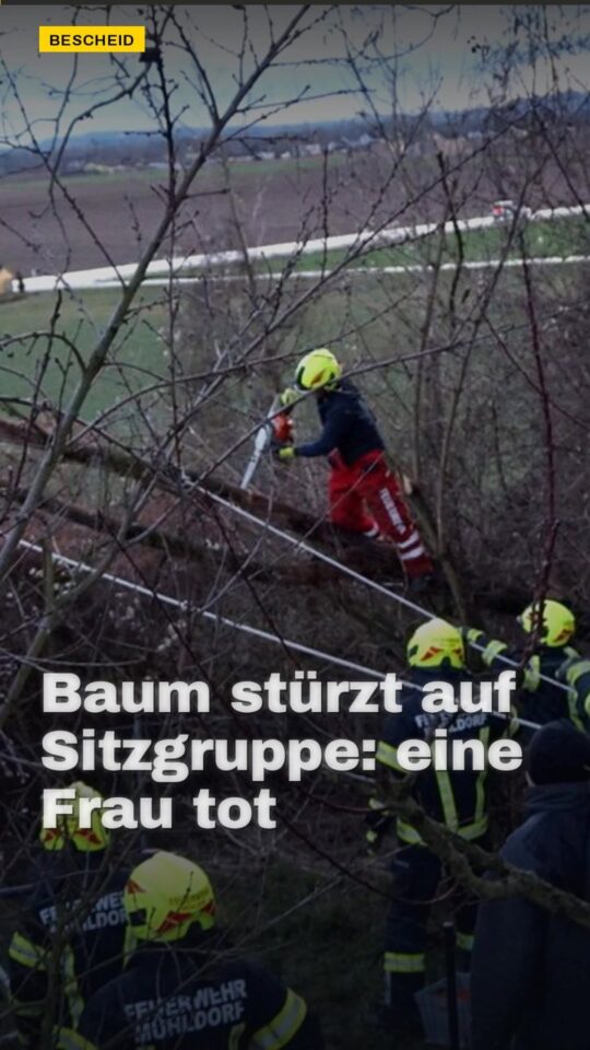 Erstes Bild der Ausgabe: Baum stürzt auf Sitzgruppe: eine Frau tot
