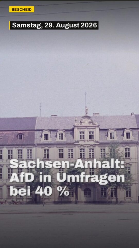 Erstes Bild der Ausgabe: Sachsen-Anhalt: AfD in Umfragen bei 40 %