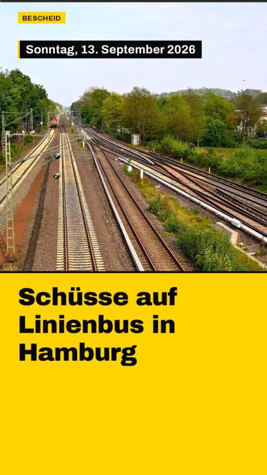Erstes Bild der Ausgabe: Schüsse auf Linienbus in Hamburg