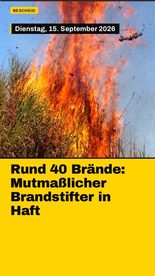 Erstes Bild der Ausgabe: Rund 40 Brände: Mutmaßlicher Brandstifter in Haft