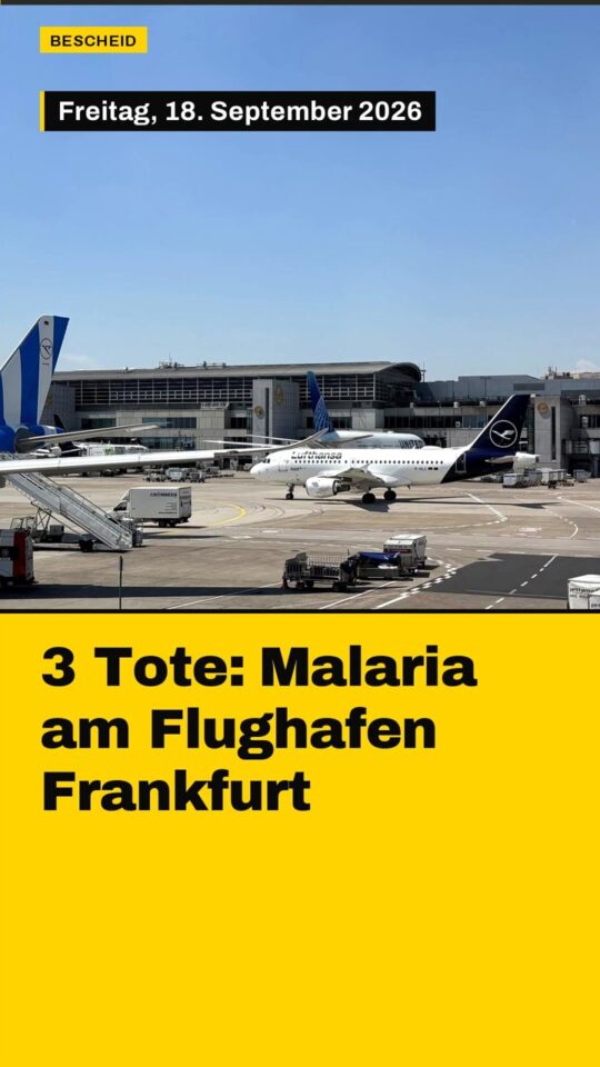 Erstes Bild der Ausgabe: 3 Tote: Malaria am Flughafen Frankfurt