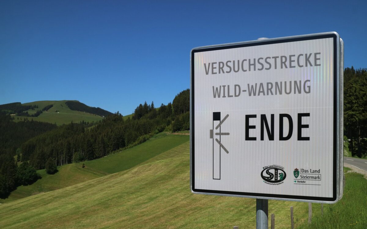 Archivbild zu „Fast 8.000 Wildunfälle in Oberbayern Nord“