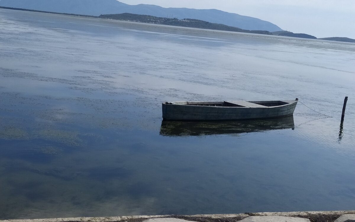 Archivbild 2024: Lagune von Narta bei Zvërnec zu „Flamingos, Kushner, Korruption“