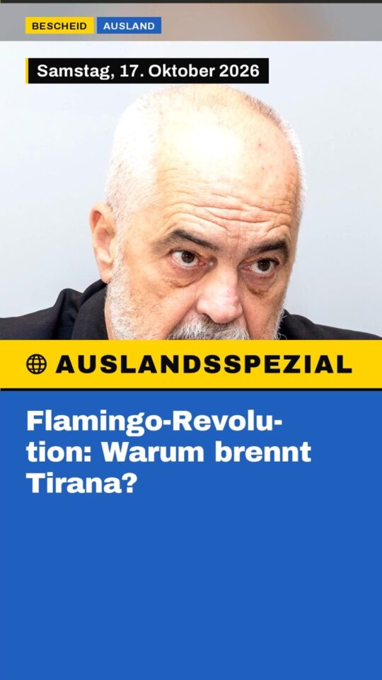 Erstes Bild der Ausgabe: Flamingo-Revolution: Warum brennt Tirana?