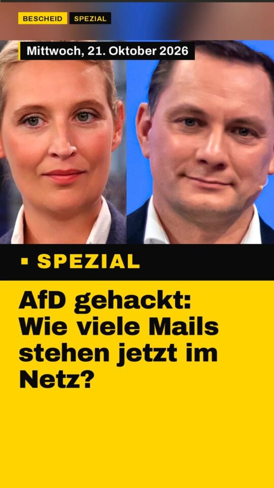 Erstes Bild der Ausgabe: AfD gehackt: Wie viele Mails stehen jetzt im Netz?