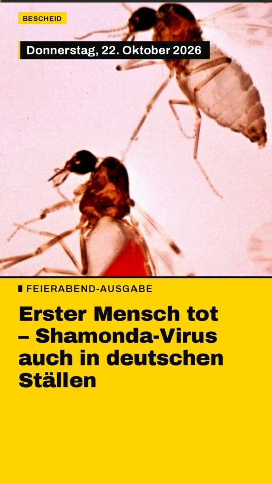 Erstes Bild der Ausgabe: Erster Mensch tot – Shamonda-Virus auch in deutschen Ställen