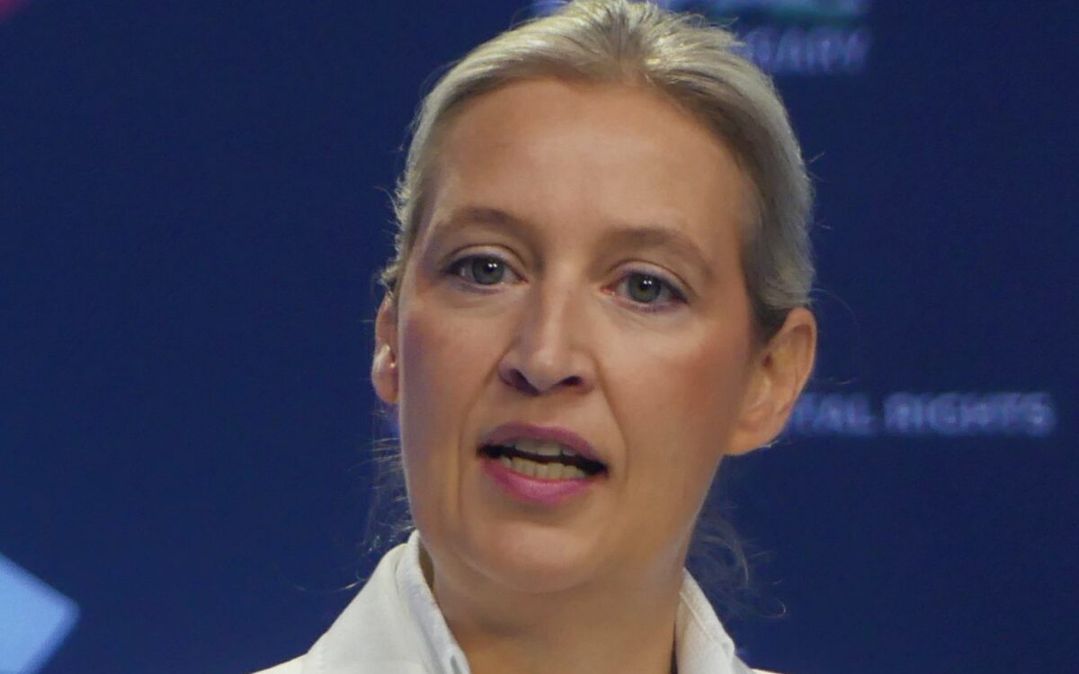 Archivbild zu „AfD-Leak: Neue Fragen an Weidel zu Spenden“