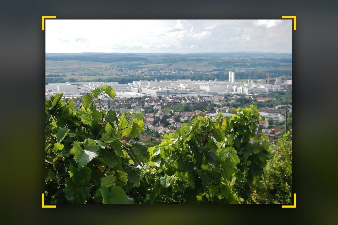 Jetzt auf YouTube
